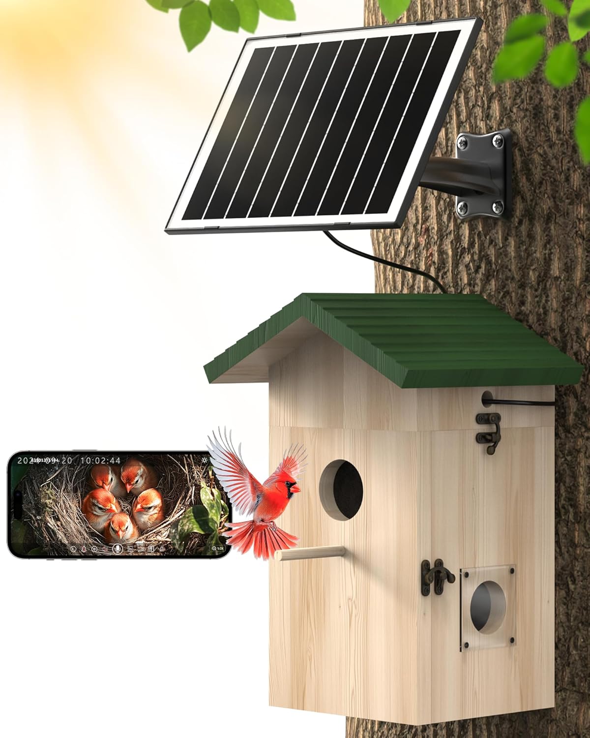 Smart Bird House Camera with 2K HD for Bird Watching Fun