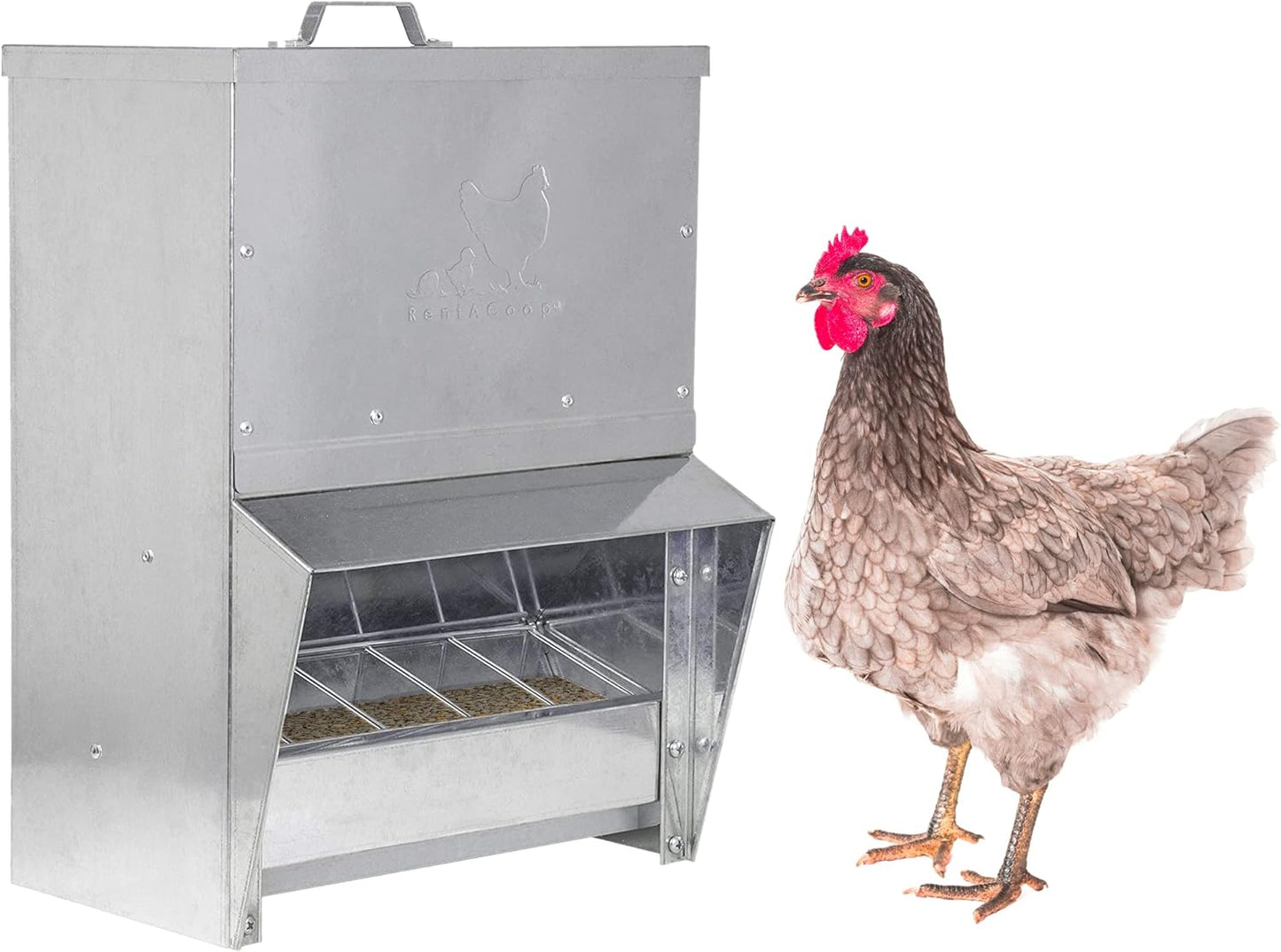 Galvanized Chicken Trough Feeder for Mess-Free Poultry Feeding