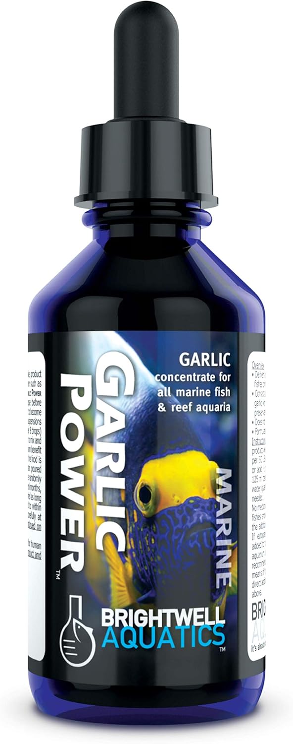 Brightwell Aquatics GarlicPower Enhances Feeding Response for Fish