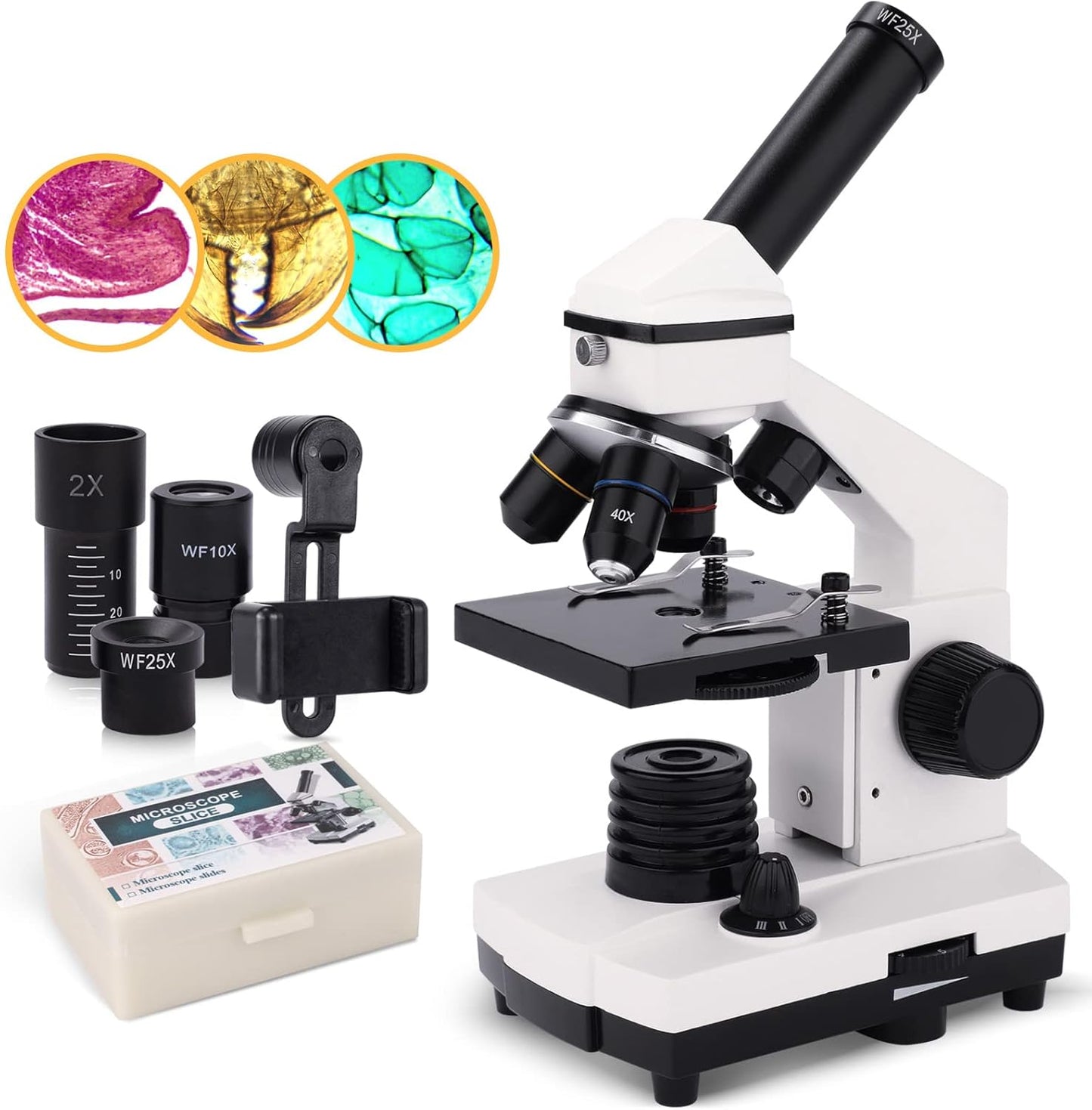 Compound Monocular Microscope 40X-2000X for Kids and Adults