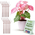 Plant Support Stakes for Potted Plants - Natural-Look 10 Pack 22in