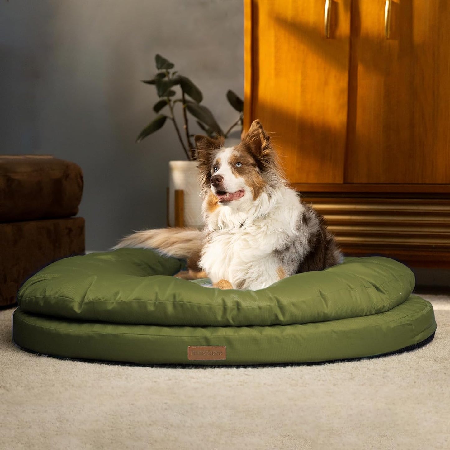 ClevaHome Orthopedic Dog Bed for Large Dogs with Comfort