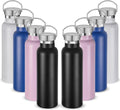 20 oz Insulated Water Bottles Bulk 8 Pack - Double Wall Stainless