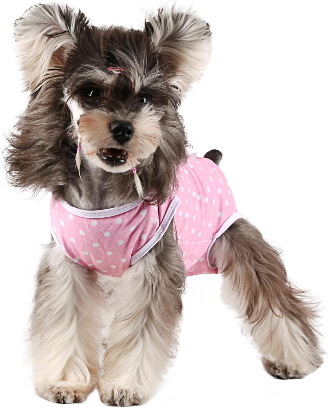 Etdane Dog Period Diapers XL - Stay Stylish & Protected!