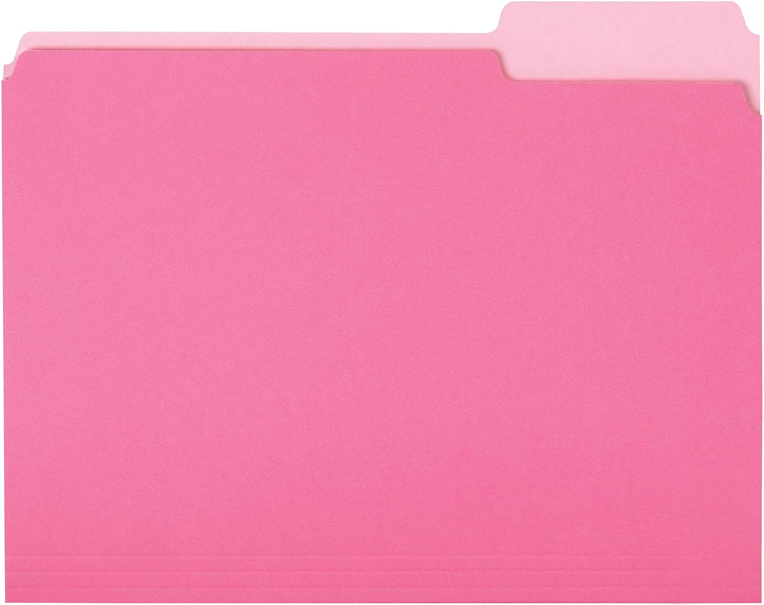 Organize in Style:  Basics Pink File Folders