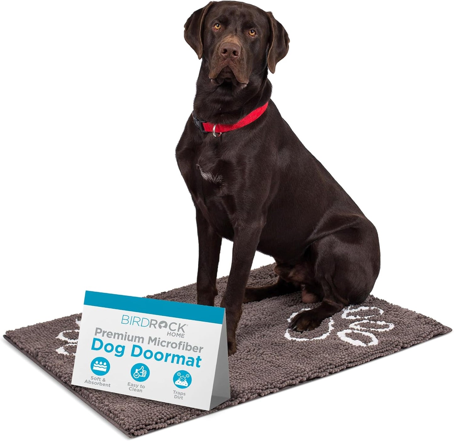 Chenille Dog Doormat - Soft Absorbent Microfiber - Non-Skid