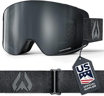Wildhorn Pipeline Ski Goggles for Men and Women with OTG Design