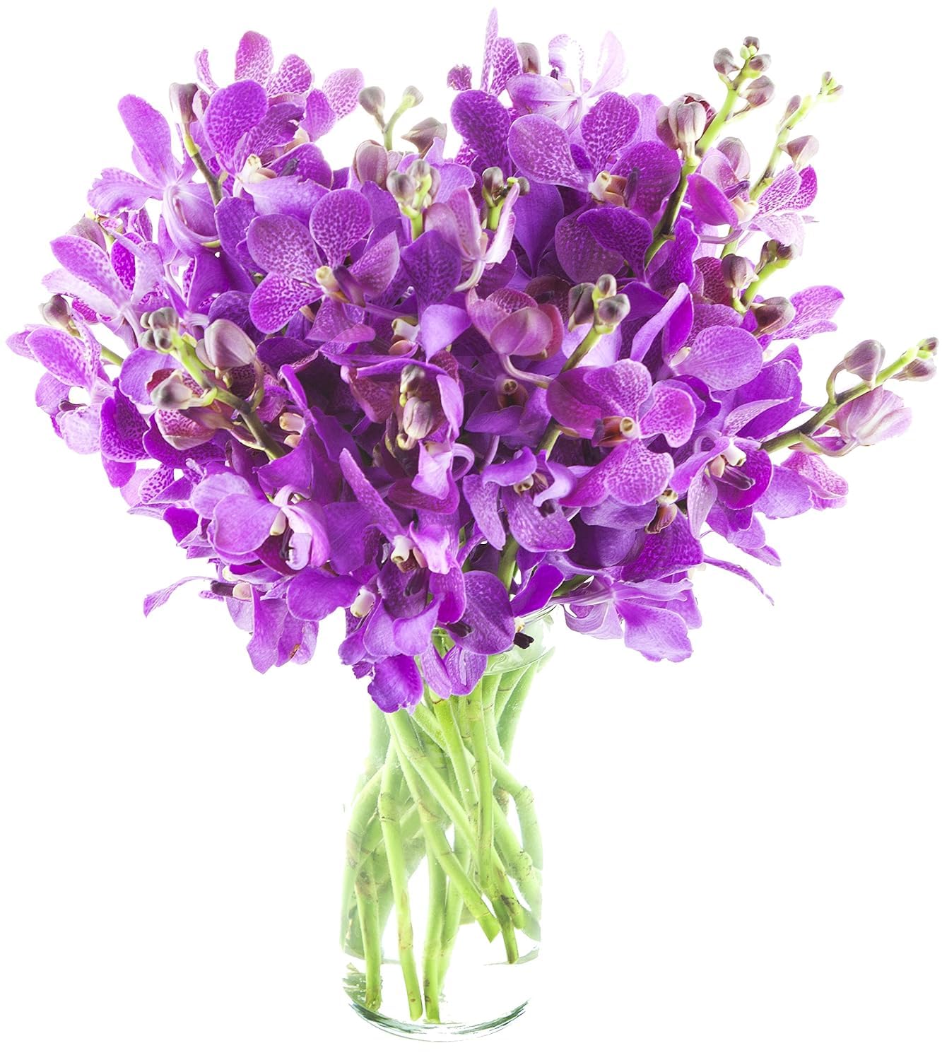 20 Purple Orchid Bouquet with Vase for Every Occasion Gift