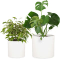 Fox & Fern Large Planters Set of 2 - Lightweight Fiberstone Pots