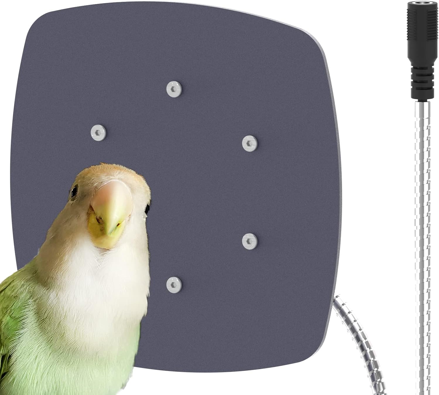 Ogioxam Bird Heater: Thermostatical Warmth!