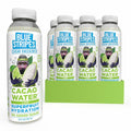 Blue Stripes Cacao Water - Cold Pressed Hydration with Electrolytes