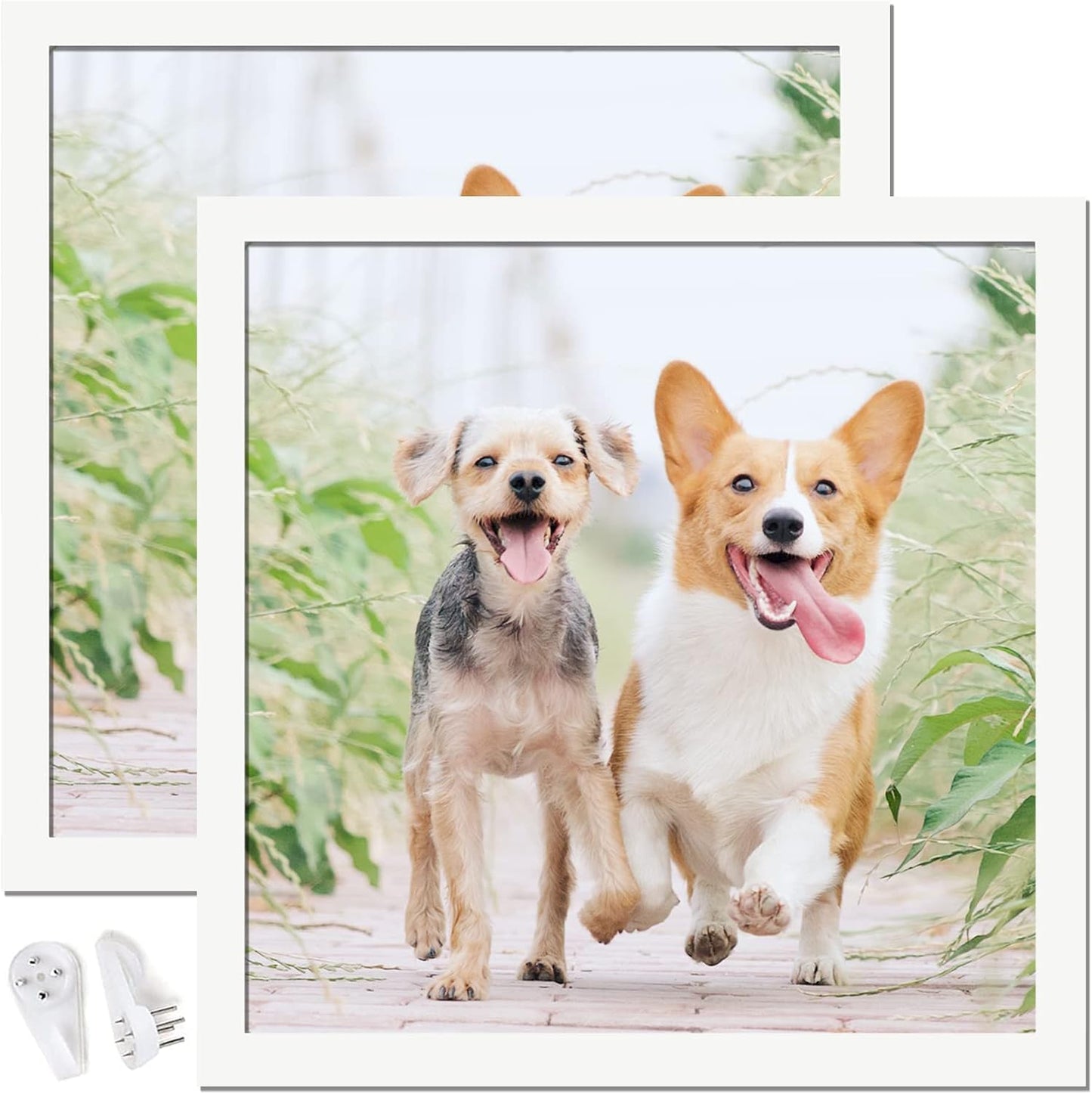 20x20 Picture Frame Set of 2 for Wall Gallery and Desktop