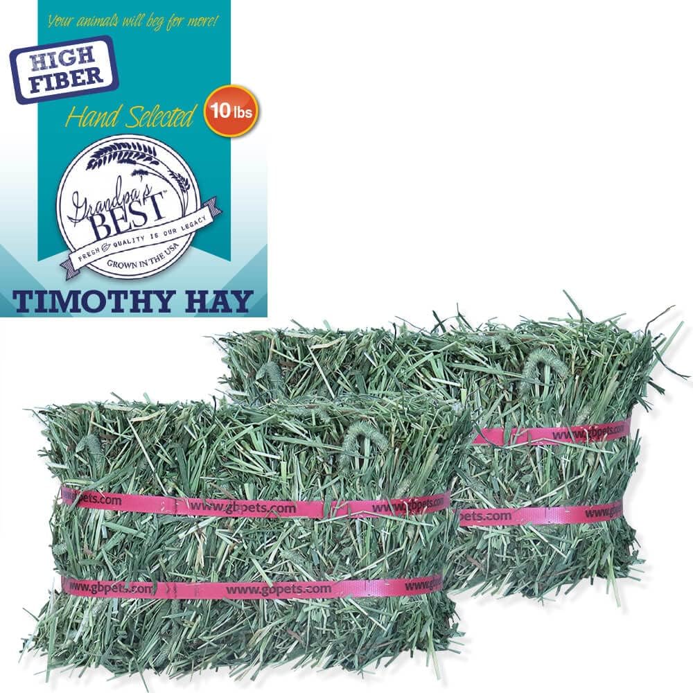 Grandpa's Best Timothy Hay Mini Bale for Healthy Pets