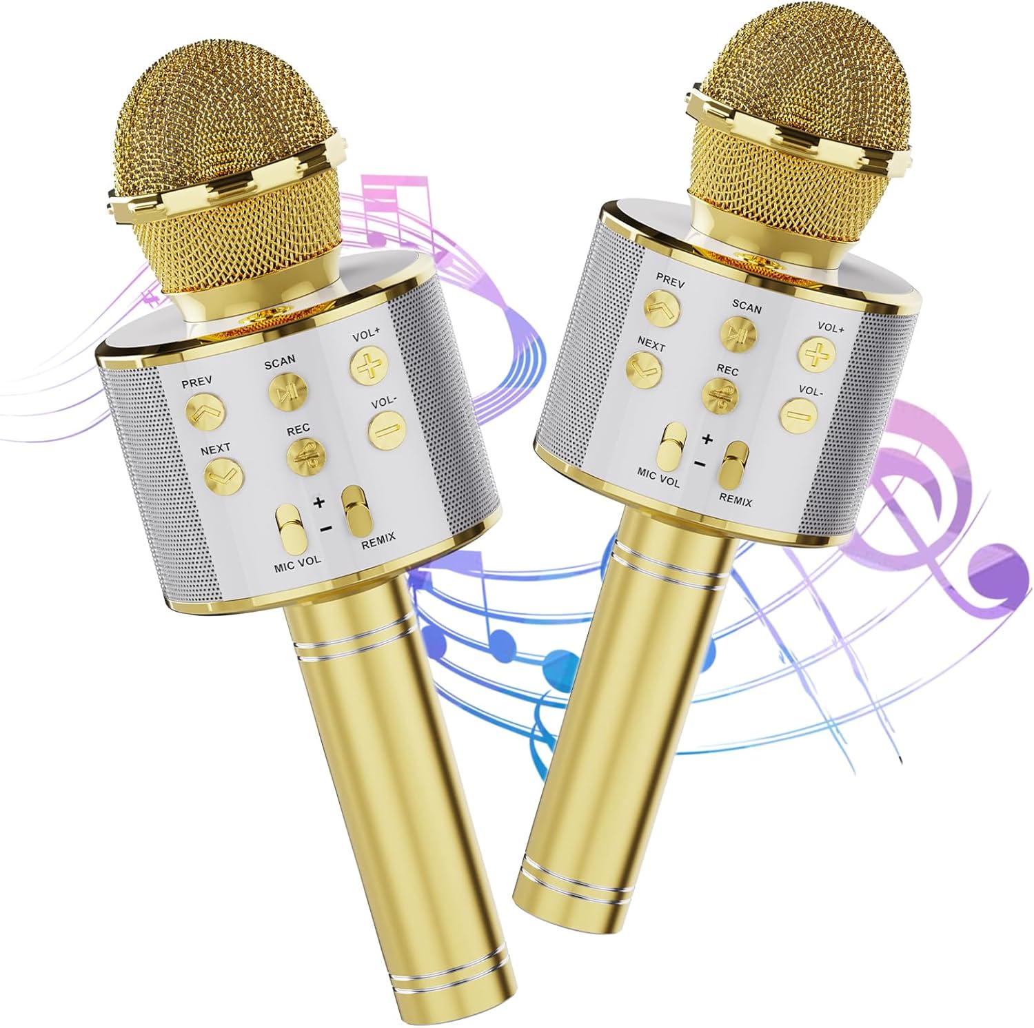 Karaoke Duets Anywhere! 2 Wireless Mics