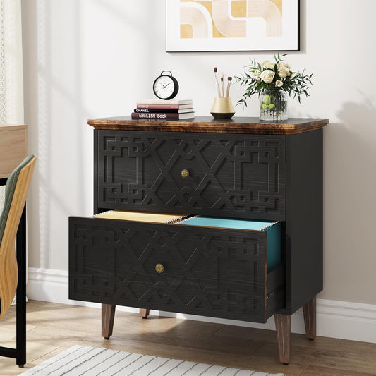 Tribesigns 2 Drawer File Cabinet: Organize Files in Style