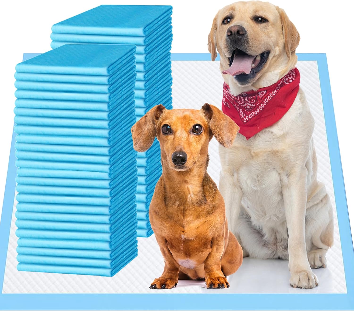 Upgrade Leak-Proof Pet Training Pads for Dogs and Cats