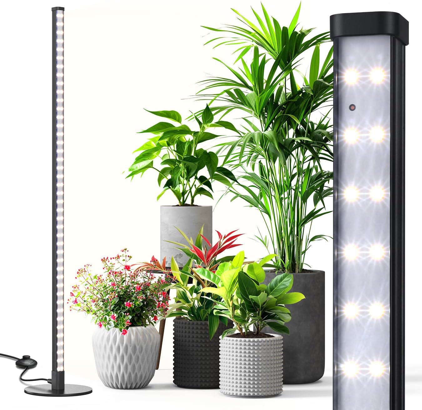 Tall Grow Lights 4FT for Indoor Plants with Stand and Switch
