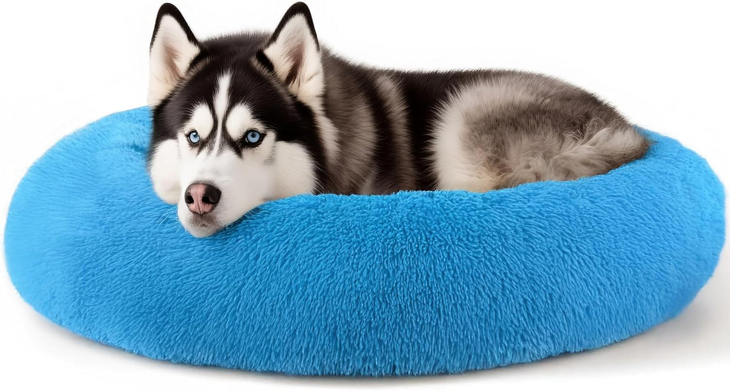 Extra Large Dog Beds for Comfort and Anxiety Relief