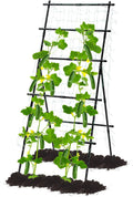 Cucumber Trellis 6ft Metal A-Frame for Climbing Plants - Vertical