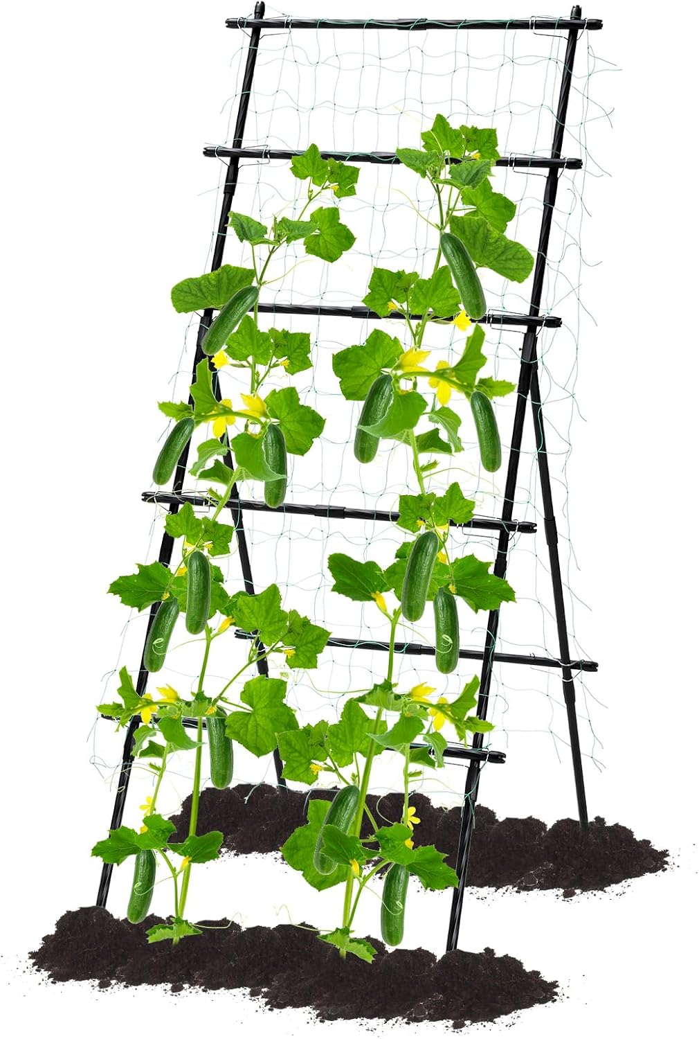 Lalahoni Cucumber Trellis for Climbing Plants - 6ft Metal Support
