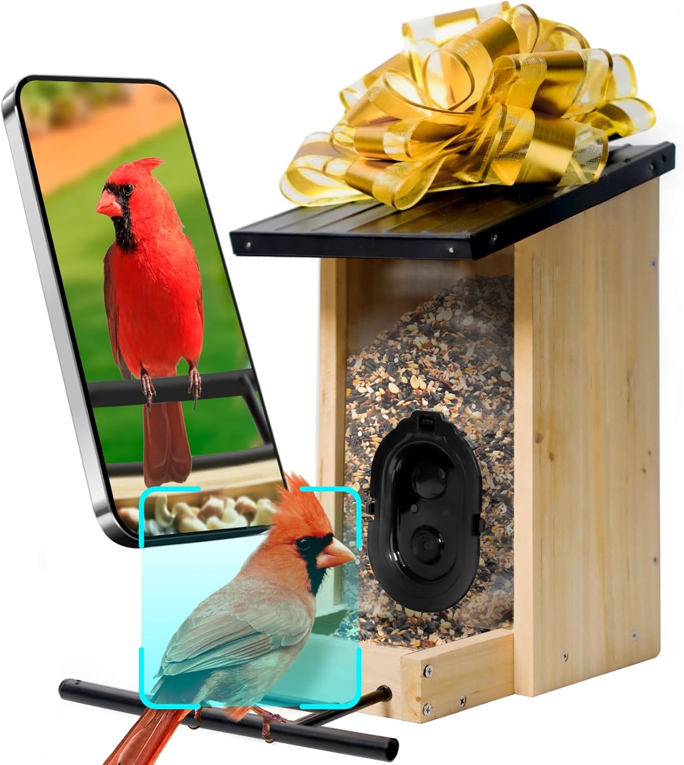 AI Bird Feeder: Solar-Powered Camera, 10000+ Species Identify!
