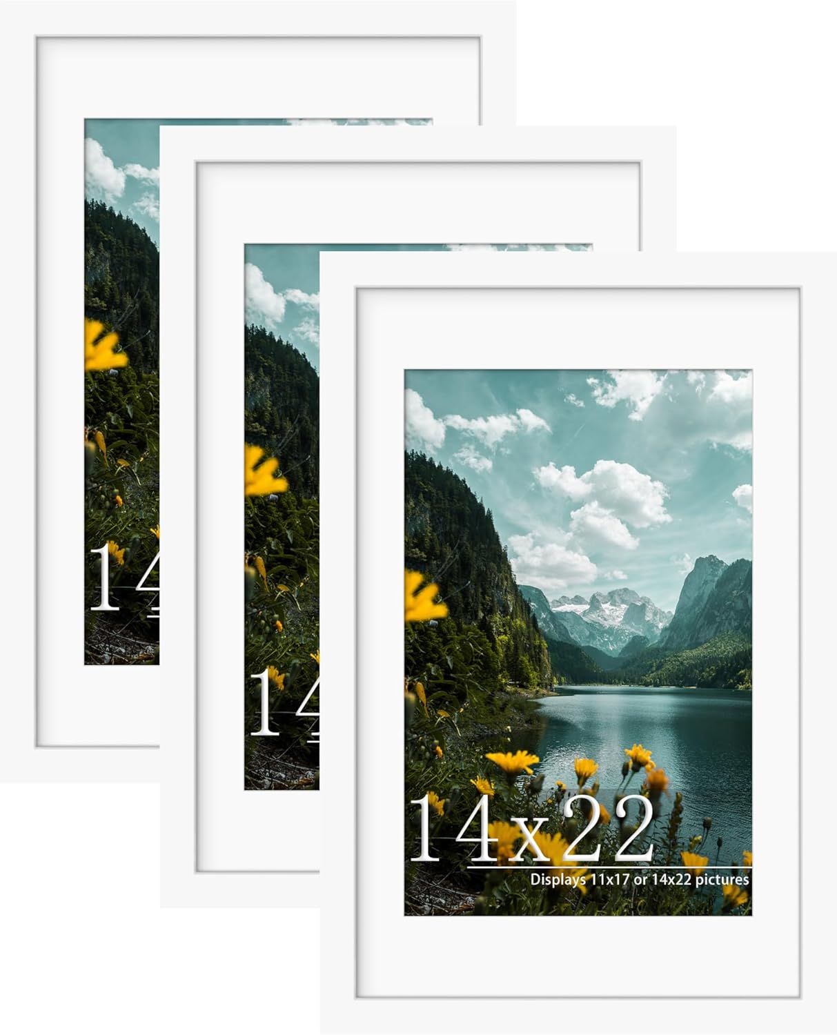 Flexible 14x22 Picture Frame 3 Pack for Horizontal or Vertical Display