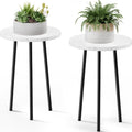 Indoor Plant Stand 2 Pack: Mid Century Modern Decor for Home