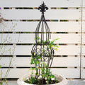 Obelisk Metal Garden Trellis for Climbing Plants - Compact Vertical