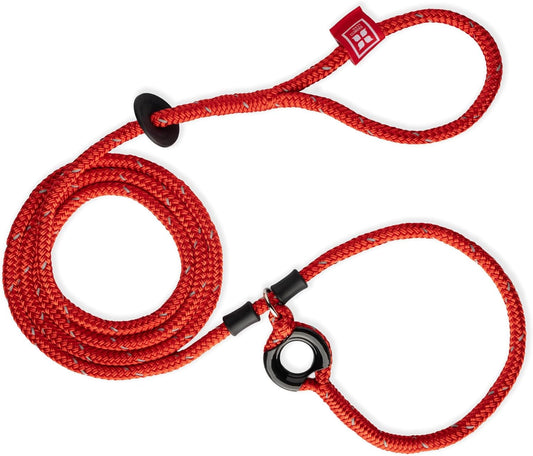 Harness Lead No Pull Dog Harness and Leash Set for All Breeds