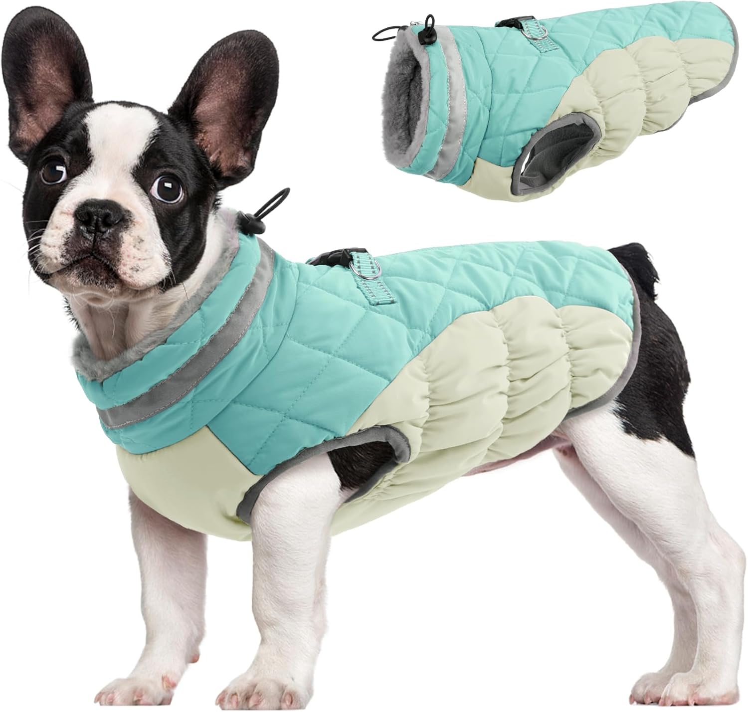 FUAMEY Waterproof Dog Winter Jacket for Small Dogs and Puppies