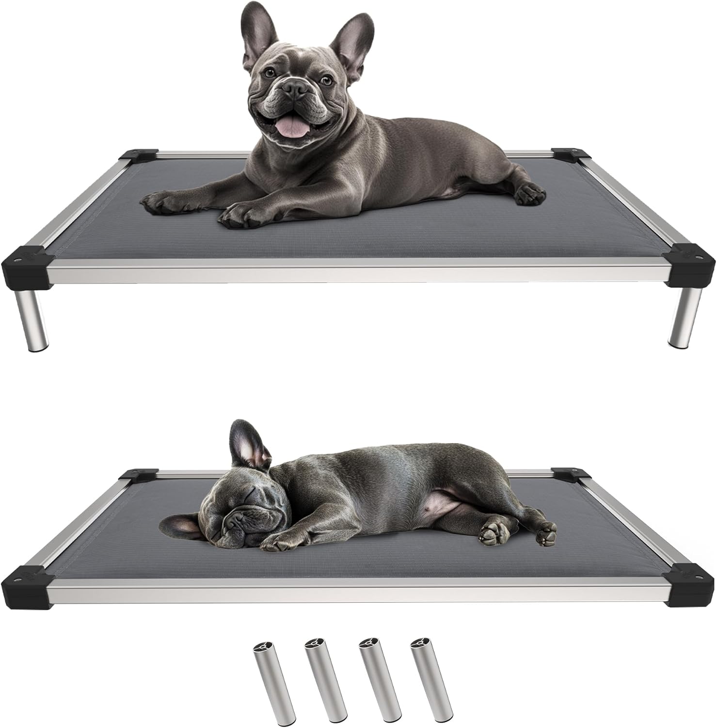 FXW TitanNest Chew-Proof Elevated Dog Bed for Small Dogs