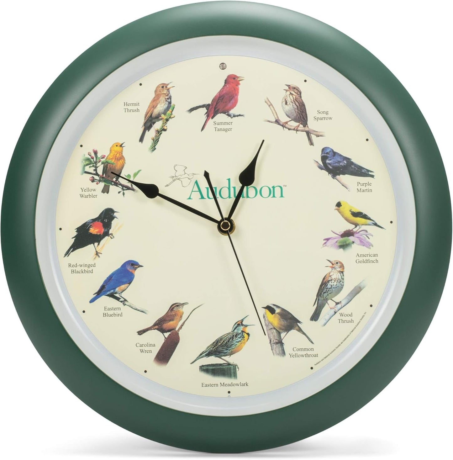 Audubon Singing Bird Wall Clock with Hourly Bird Songs Feature