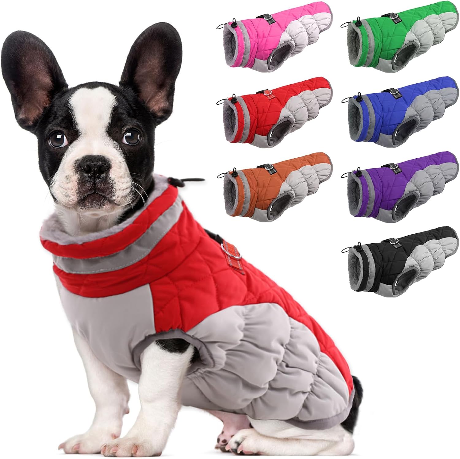Lelepet Dog Coat Waterproof Winter Jacket for Small Dogs