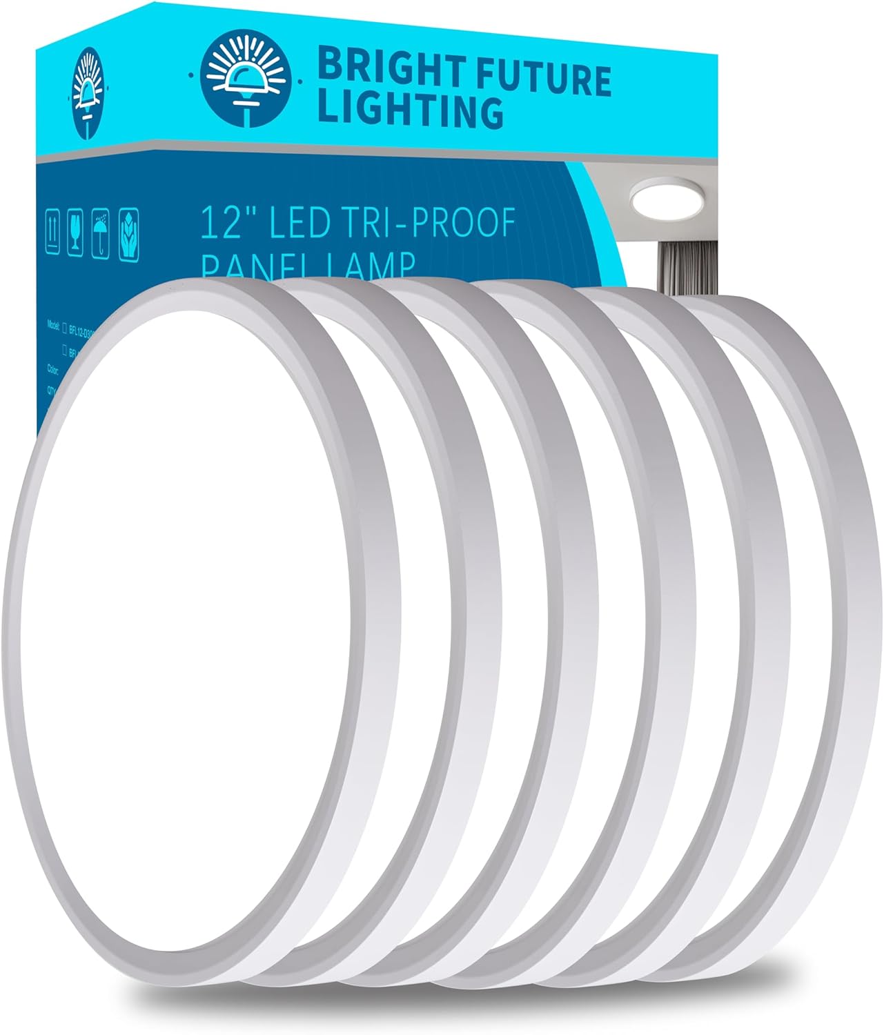 12 Inch Flush Mount Ceiling Light 6pack for Bright Spaces