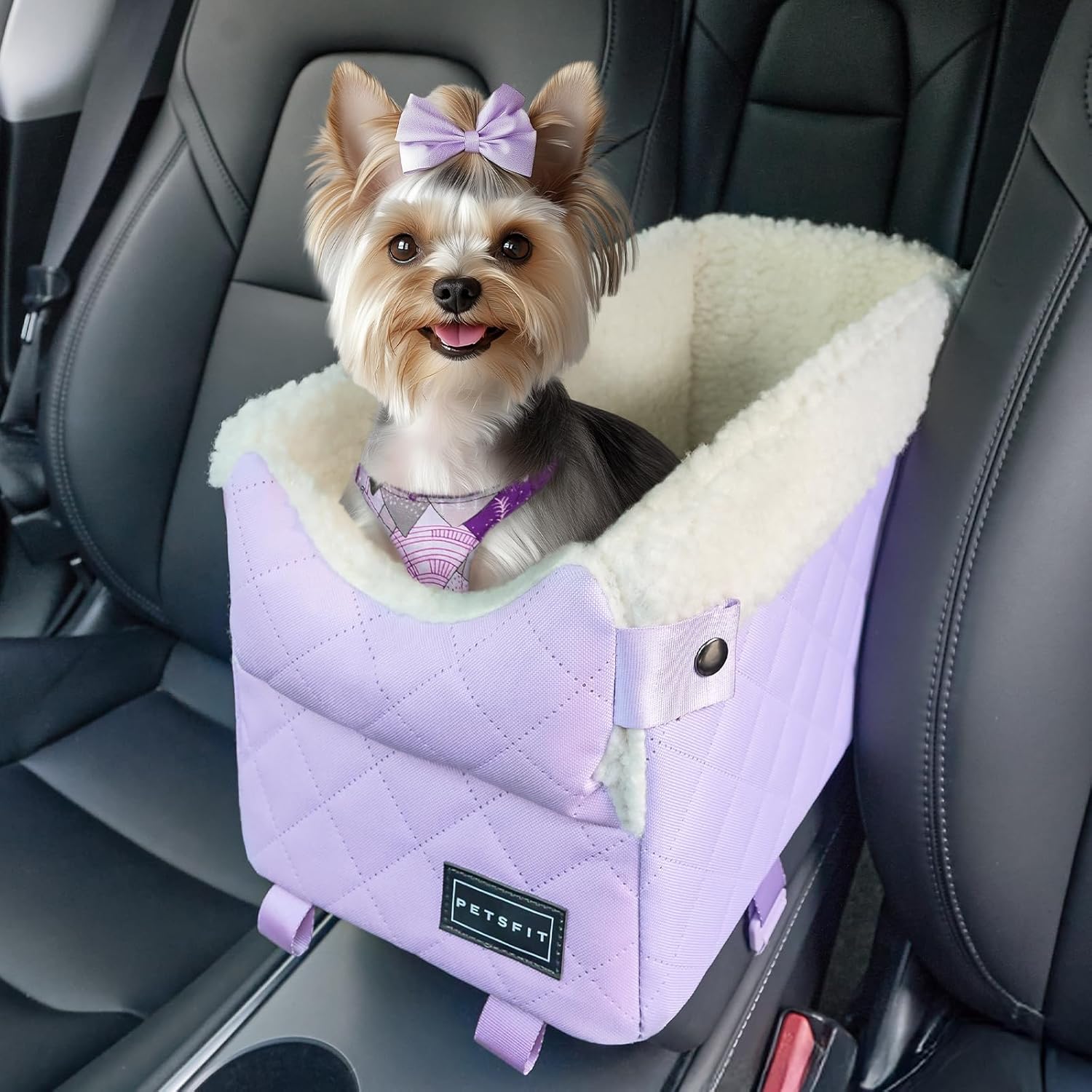 Petsfit Safe Cat Car Seat - Upgraded Protection for Tiny Travelers!