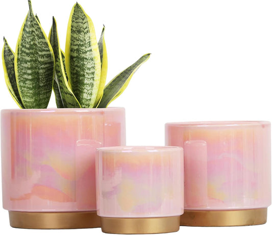 Gepege Pink Indoor Plant Pots - Rainbow Pearl Glaze Set