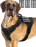 Reflective Service Dog in Training Vest Harness for Extra Large Dogs