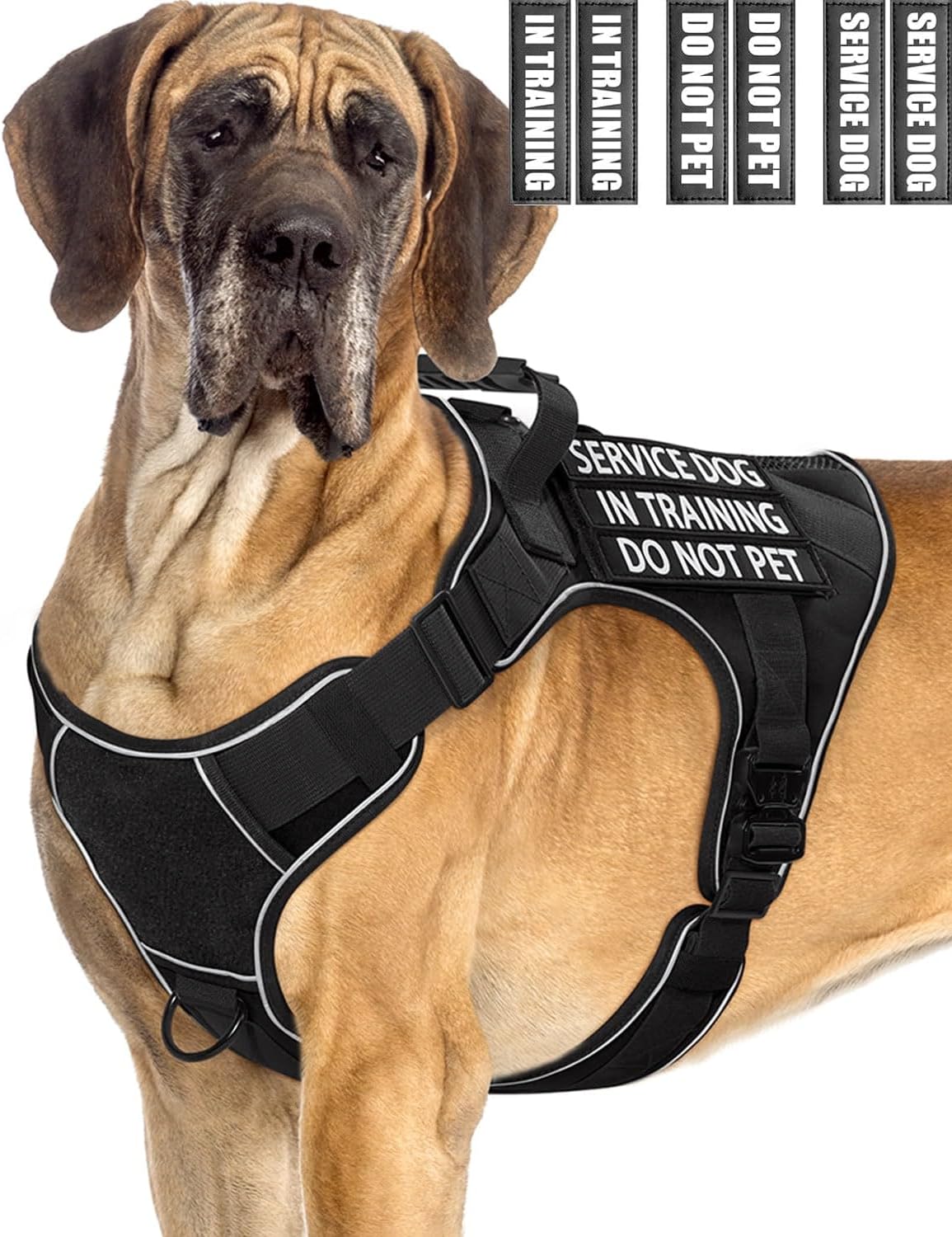 Reflective Service Dog in Training Vest Harness for Large Dogs