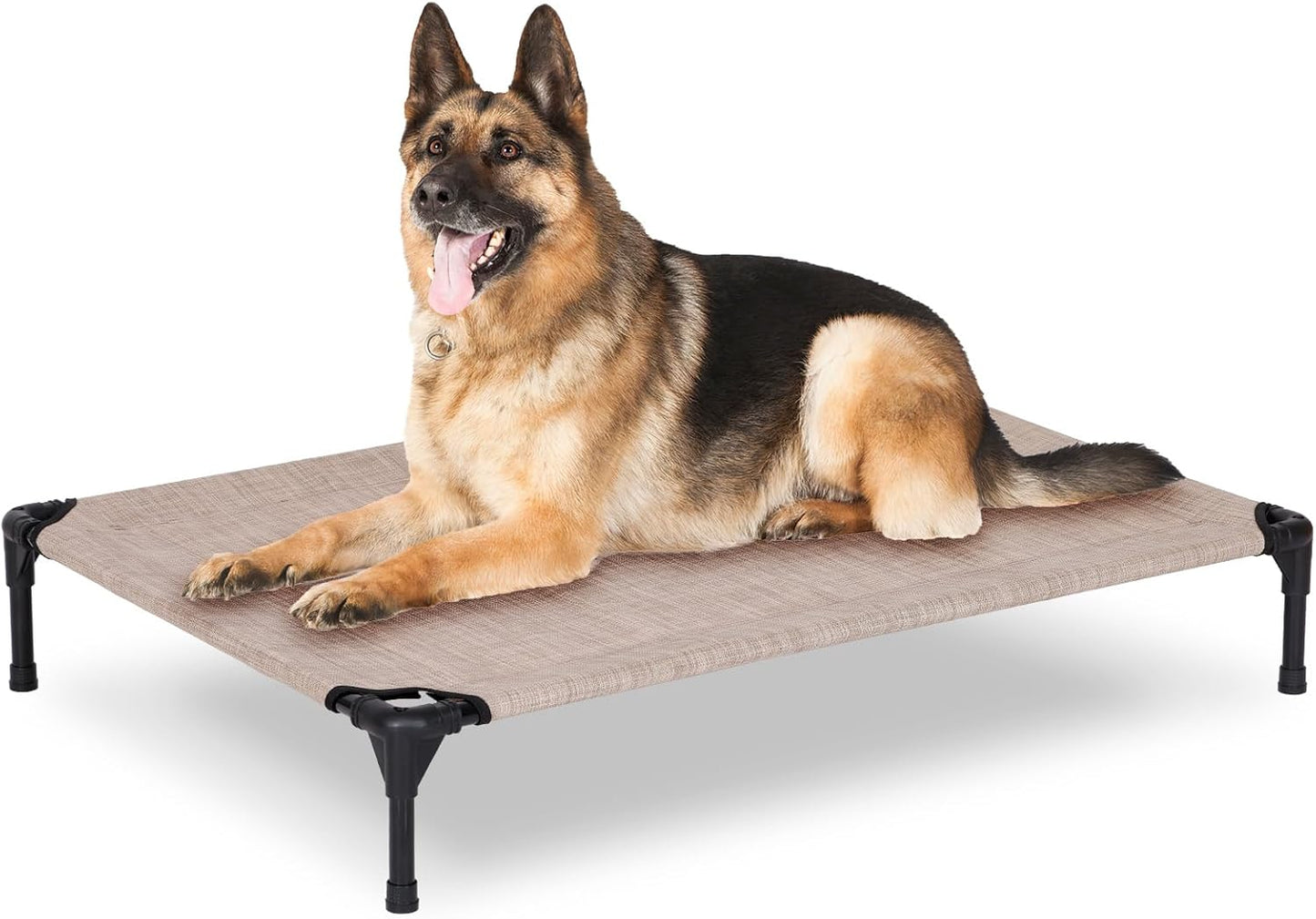Elevated Dog Bed for Outdoor Use - Large Raised Cot for Pets
