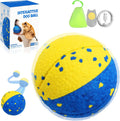 Dog Ball Smart Interactive Dog Toy with Remote Control - Engaging Play