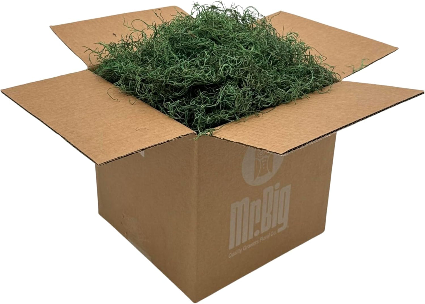 Preserved Spanish Moss for Crafts and Home Decor Projects