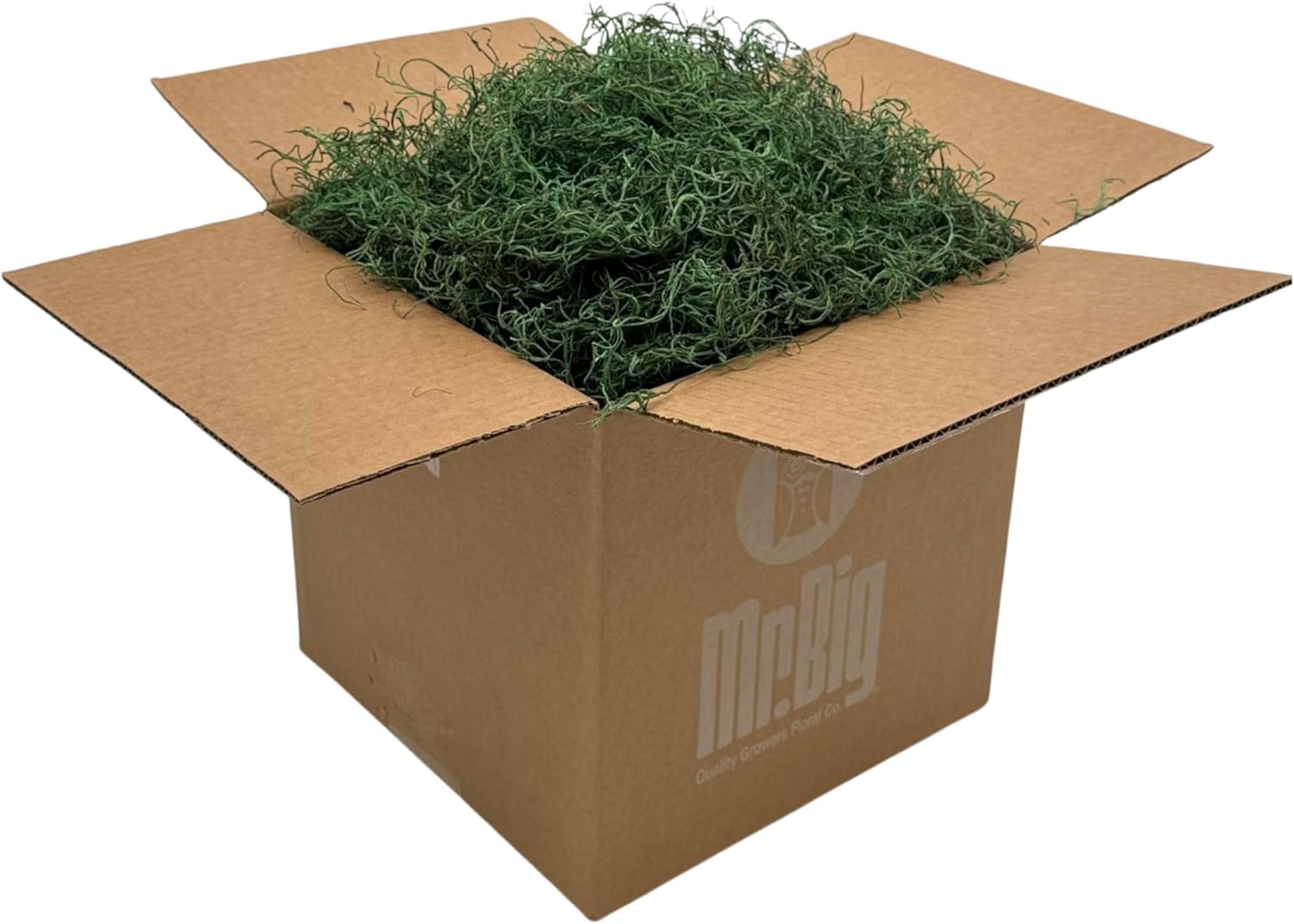 Preserved Spanish Moss for Crafts and Home Decor Projects