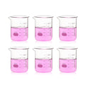 6pcs 600ml Thick Glass Beakers Set - Durable Lab Griffin Low Form