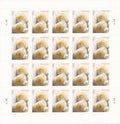 Wedding Roses Love Commemorative Forever Postage Book of 20