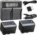 Kastar LCD Dual Smart Fast Charger & 2 Batteries for Sony Cameras