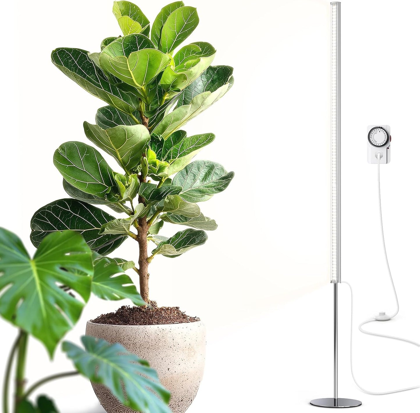 Barrina T1S Standing Grow Light for Indoor Plants with Timer