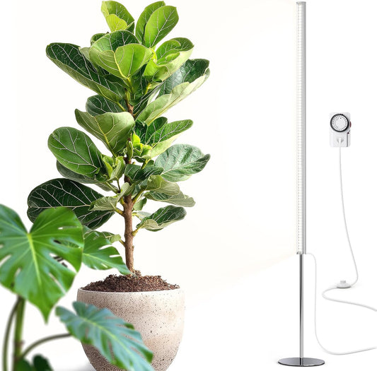 Barrina T1S Standing Grow Light for Indoor Plants with Timer