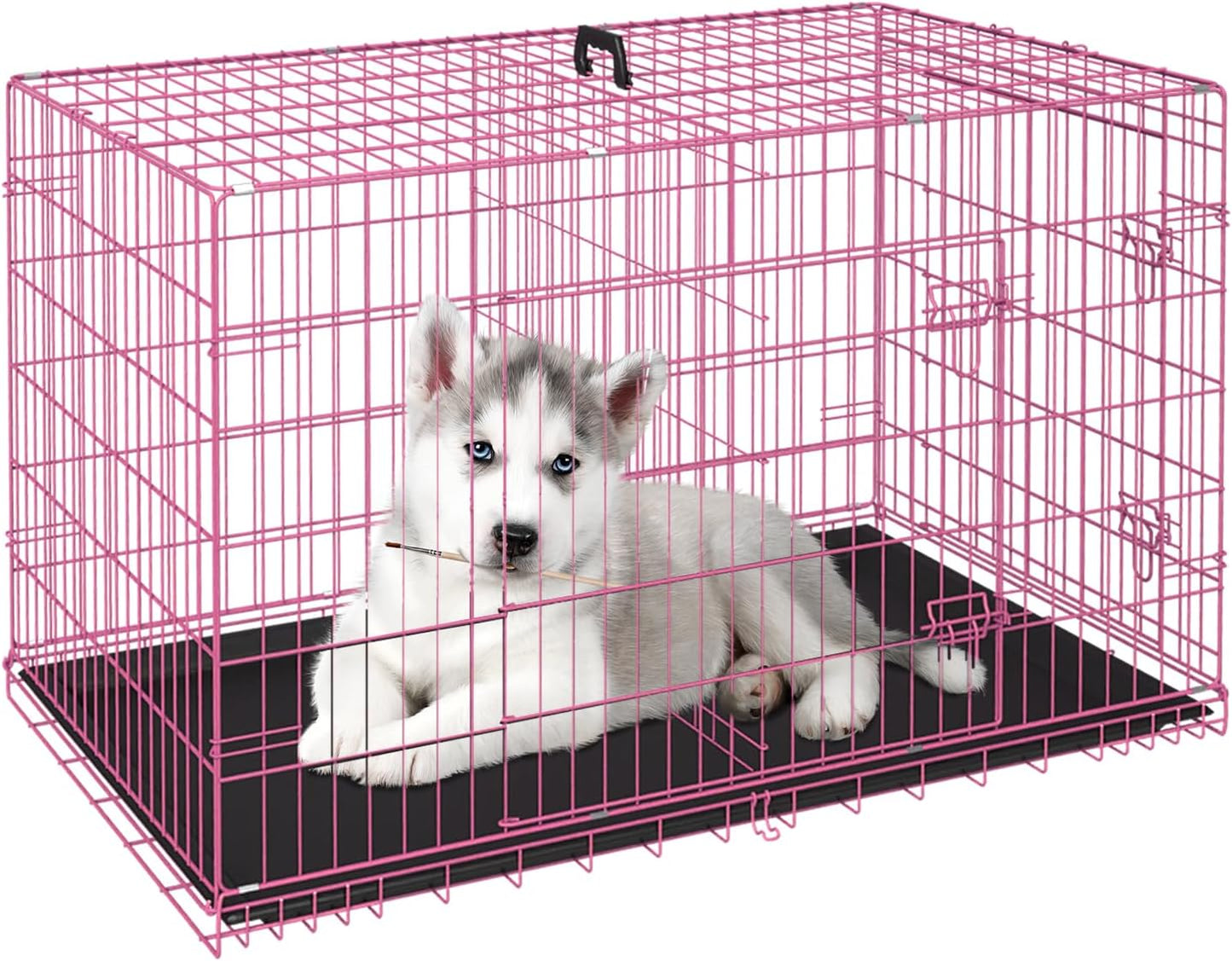 FDW Dog Crate for Small Dogs 24 Inch Folding Metal Wire Cage