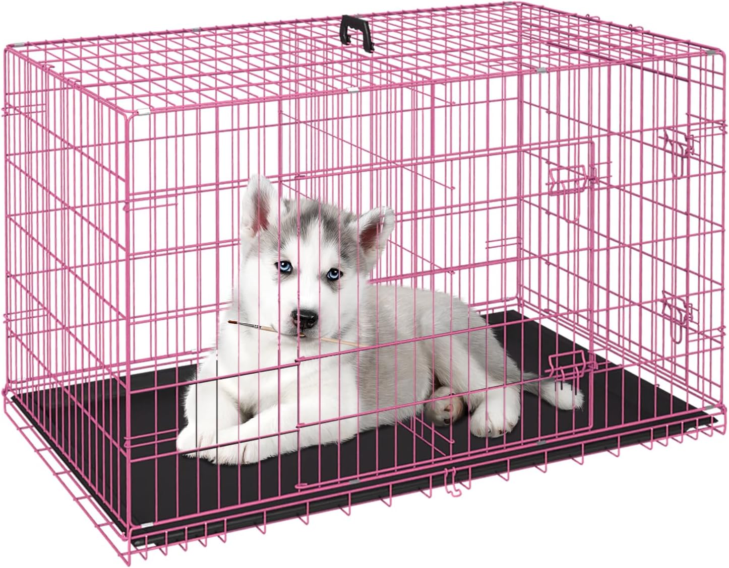 FDW Dog Crate for Small Dogs 24 Inch Folding Metal Wire Cage