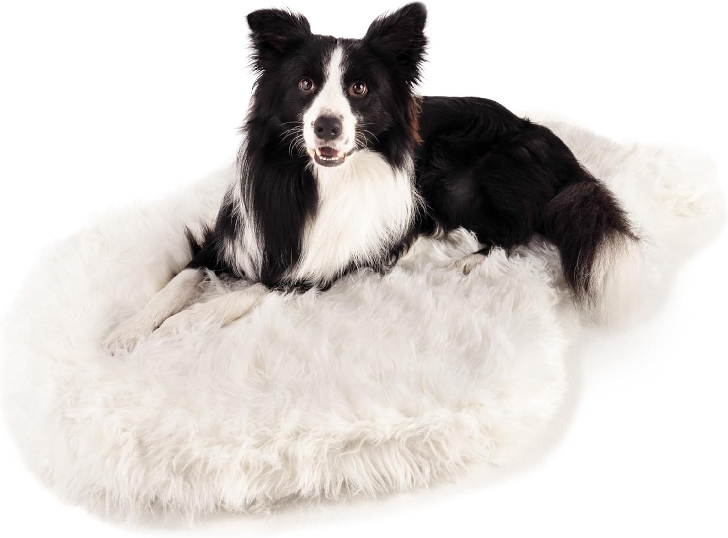 PupRug Orthopedic Dog Bed for Large Dogs with Memory Foam